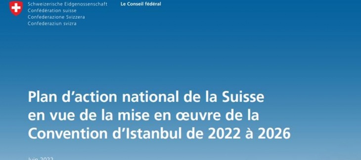 Plan D action National De Lutte Contre Les Violences Ge ch
